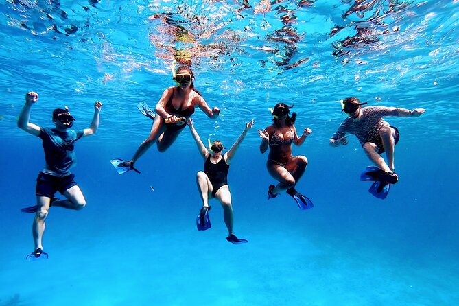 El Cielo Cozumel Snorkeling tour by Private Boat - Why the private format earns its price