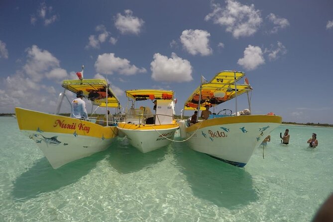 El Cielo Cozumel Snorkeling tour by Private Boat - El Cielo: the shallow starfish stop