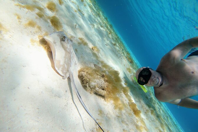 El Cielo Cozumel Snorkeling trip by Catamaran - Who should book this Cozumel snorkel trip?