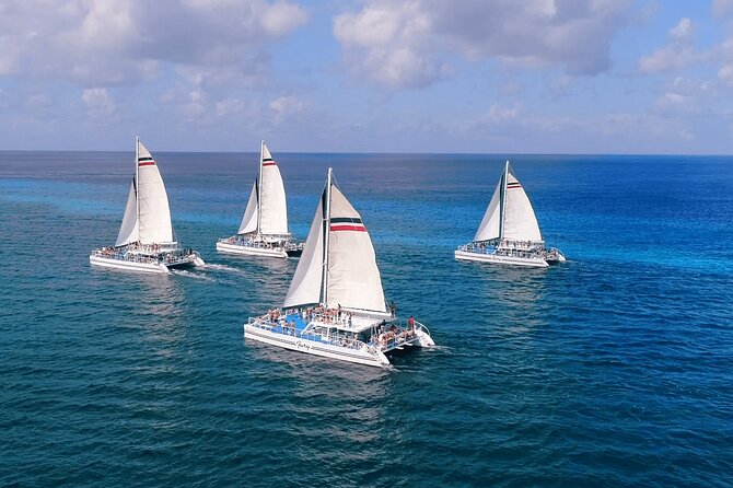 El Cielo, Palancar Snorkel & Beach Party Experience - What the $89 price really buys you