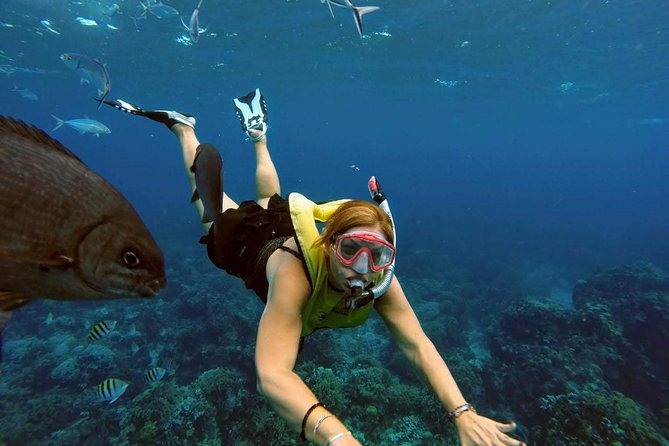 El Cielo Snorkel by Private Boat - Wind, sunscreen, and safety rules