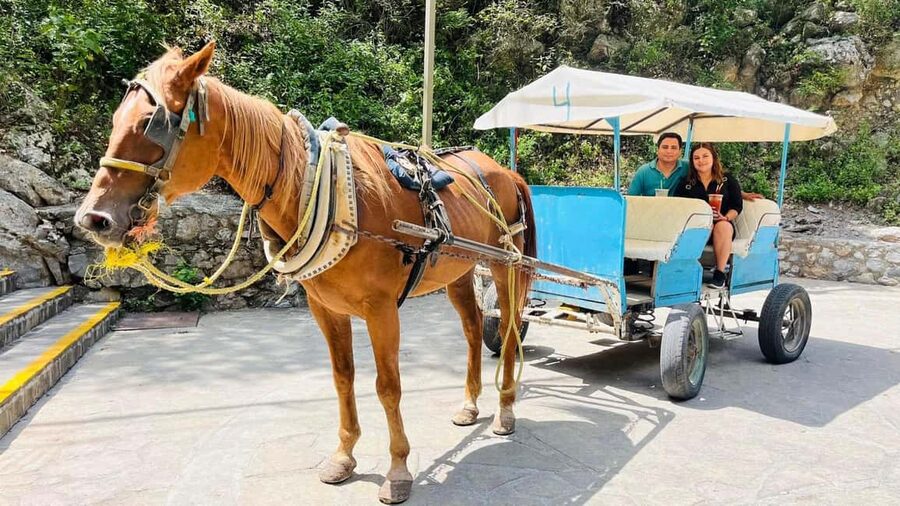 El mejor Tour a "Cola de Caballo" + Guía + Traslado +Tickets - Guides can shape the whole day