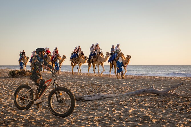 Electric Bike and Beach Camel Ride with Mexican Buffet Lunch - Key points before you book