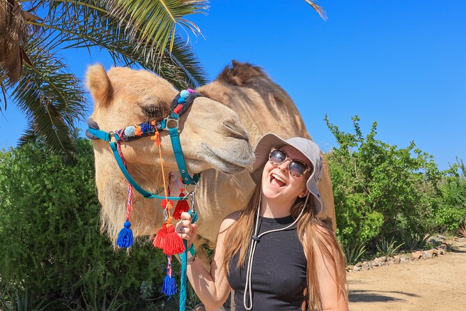 Electric Bike and Beach Camel Ride with Mexican Buffet Lunch - Who will enjoy this outing?
