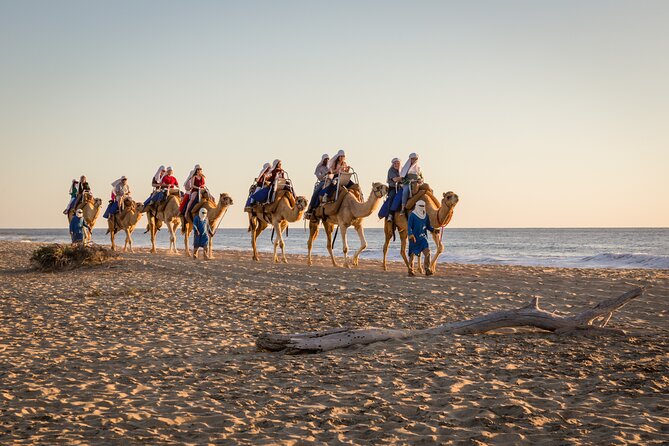 Electric Bike and Beach Camel Ride with Mexican Buffet Lunch - Riding electric bikes across Baja terrain
