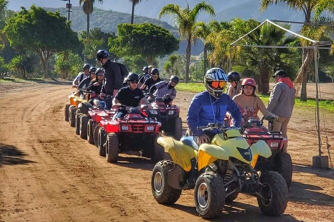 Enesenda Shore Excursion ATV Adventure with Tacos & wine tasting - Key points before you book