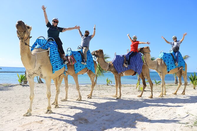 ENJOY UNIQUE CAMEL RIDE in Puerto Morelos with Transportation - What the $165 price really buys