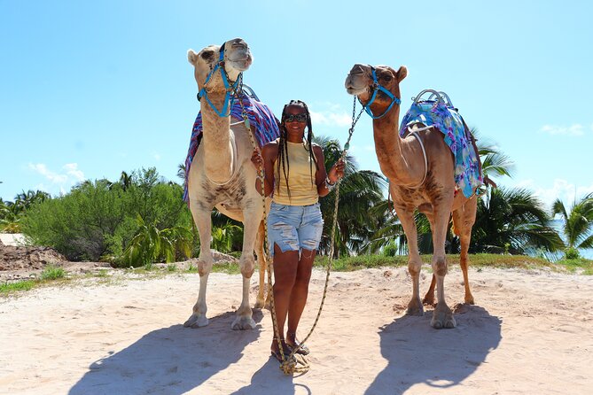 ENJOY UNIQUE CAMEL RIDE in Puerto Morelos with Transportation - Beach-club time after the ride