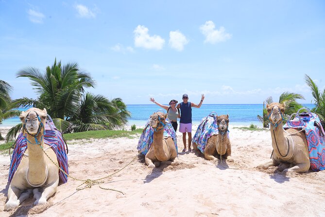 ENJOY UNIQUE CAMEL RIDE in Puerto Morelos with Transportation - From hotel pickup to the camel corral