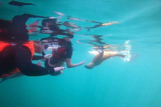 Espiritu Santo Island and sea lions - Why Espiritu Santo is worth the boat ride