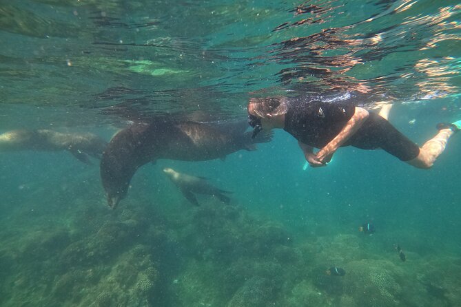 Espiritu Santo Island and sea lions - Beach time, lunch, and the quieter side of the park