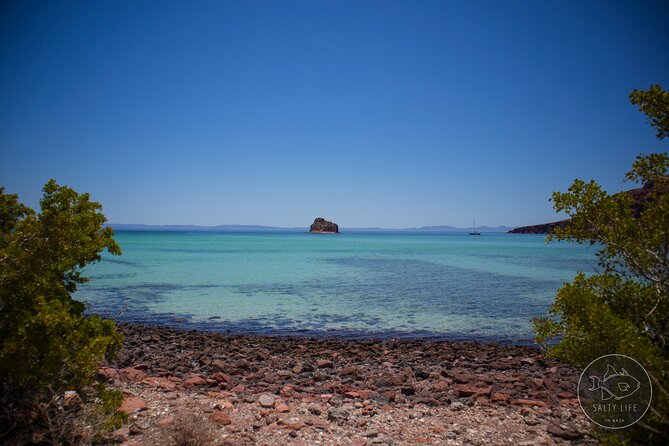 Espiritu Santo Island and sea lions - What the $131.42 price really covers