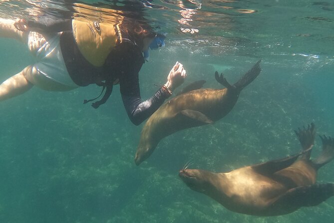 Espiritu Santo Island and sea lions - The crew and the feel of the day