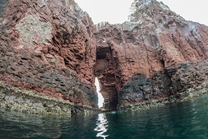 Espiritu Santo Island Snorkel & Sea Lion Adventure - Ensenada Grande beach and lunch