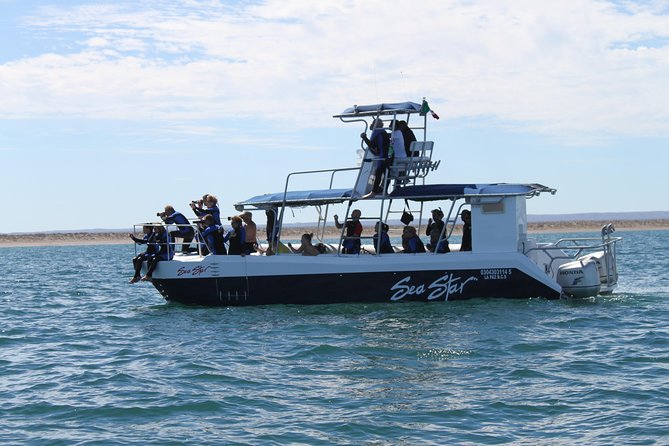Espiritu Santo Island Snorkel & Sea Lion Adventure - The return cruise past Balandra Beach