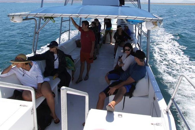 Espiritu Santo Island Snorkel & Sea Lion Adventure - What the $145 price really covers