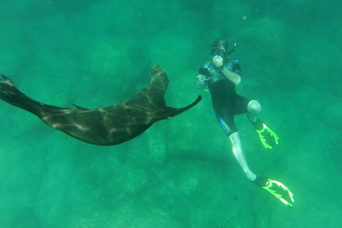 Espiritu Santo Island Snorkel & Sea Lion Adventure - Who will enjoy this tour most