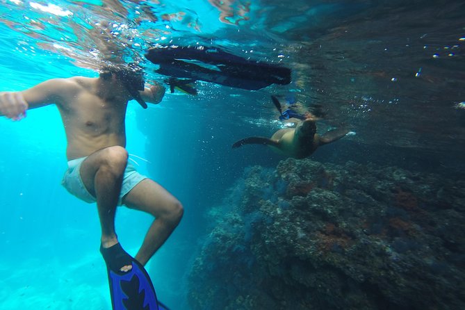 Espiritu Santo Island Snorkel & Sea Lion Adventure - Leaving Marina Asipona at 9:30 a.m.