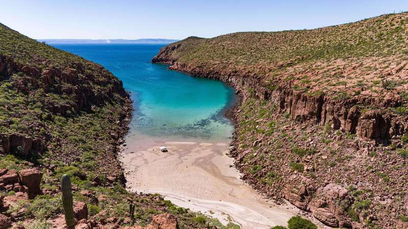 Espiritu Santo Island: Snorkeling Sea Lion Adventure - What the $133 price includes