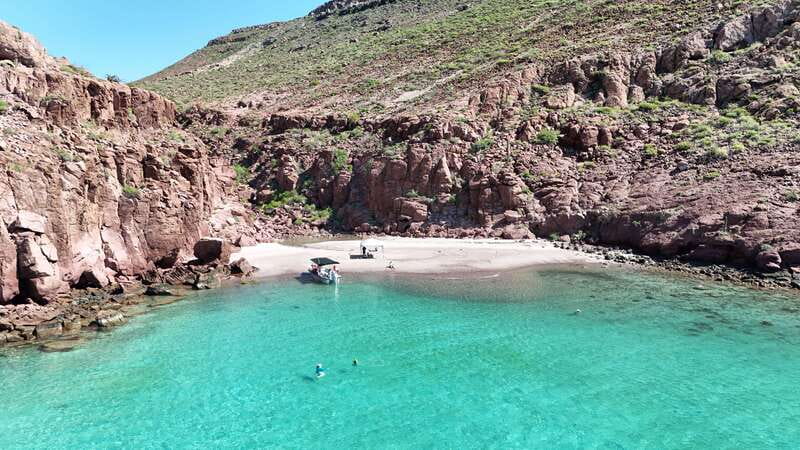 Espiritu Santo Island: Snorkeling Sea Lion Adventure - Practical tips for a smoother day