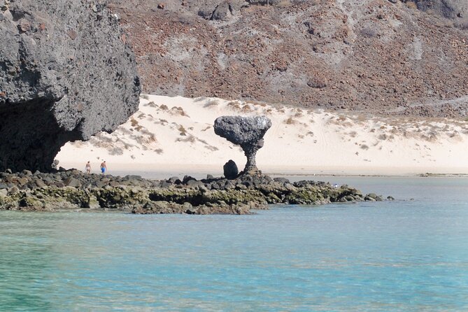 Espiritu Santo Island Tour - Guides, language, and service quality