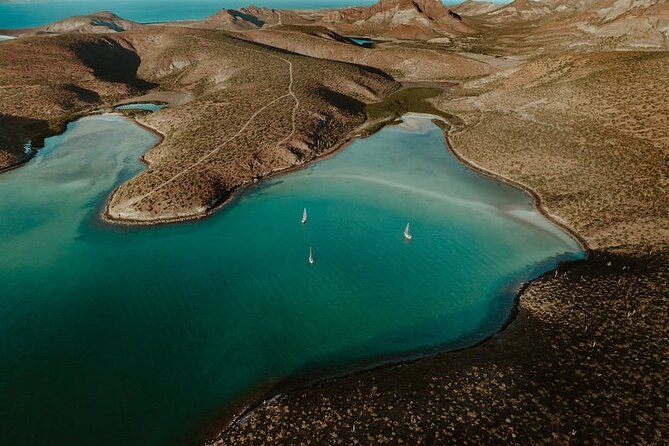 Espiritu Santo Island Tour - Is $131.42 a fair price?
