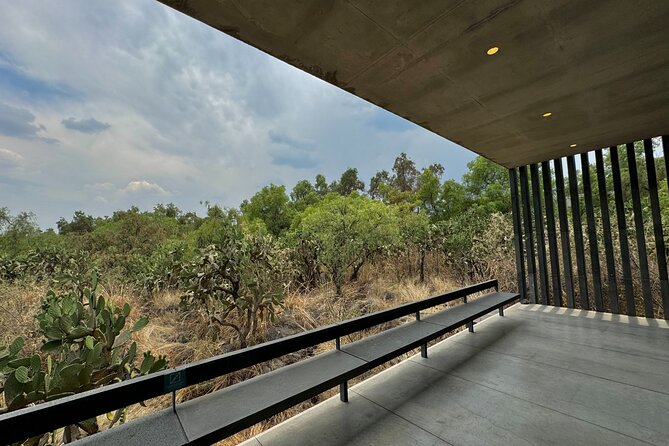 EXCLUSIVE TOUR at Diego Rivera Anahuacalli Museum - Small Groups - Following the Mesoamerican view of the universe