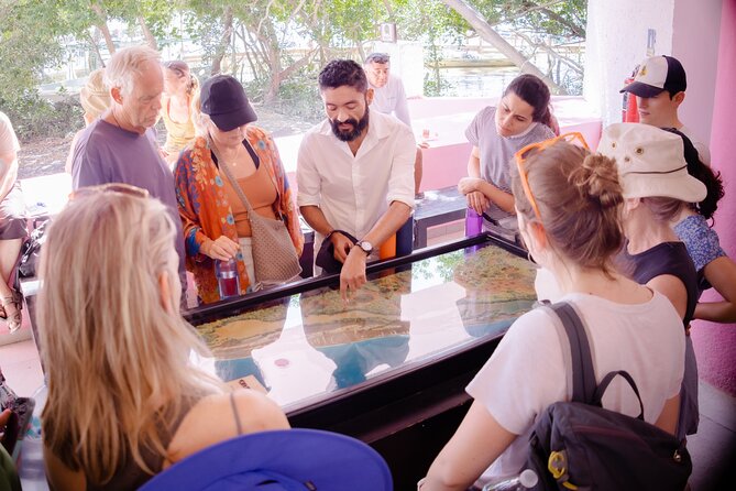 Excursion to Celestun Biosphere and Beach Day from Merida - The 500-peso cash charge needs clear planning
