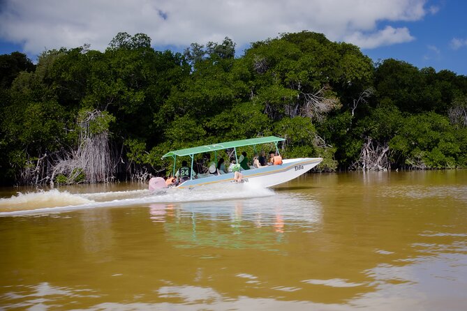 Excursion to Celestun Biosphere and Beach Day from Merida - Three hours at Playa Norte Celestun