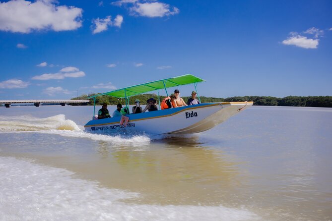Excursion to Celestun Biosphere and Beach Day from Merida - Guides can make the natural setting come alive