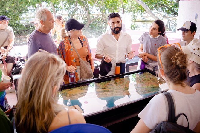 Excursion to Celestun Biosphere and Beach Day from Merida - Weather and season affect the wildlife