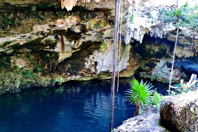 Experience Cancun's Hidden Gems, Mayan museum, cenote & Market 23 - Swimming at Neen Ha cenote in El Pedregal