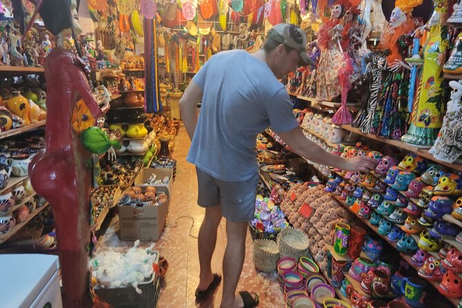 Experience Cancun's Hidden Gems, Mayan museum, cenote & Market 23 - What the private vehicle adds