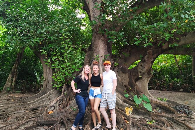 Experience Cancun's Hidden Gems, Mayan museum, cenote & Market 23 - Is $213.35 per person a good value?