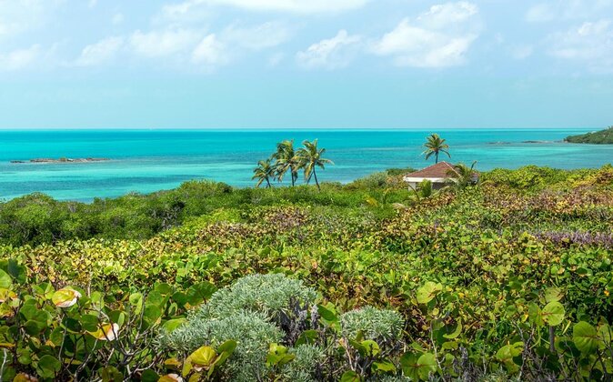 Explore Contoy Island - What the $169 price really covers