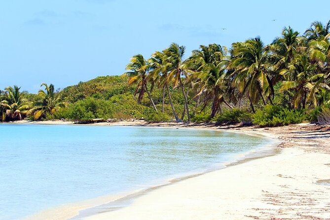 Explore Contoy Island - Snorkeling Ixlache Reef before Contoy