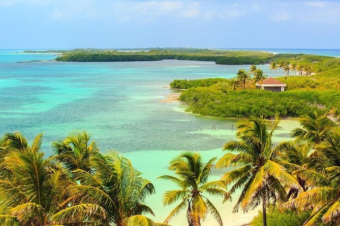 Explore Contoy Island - Isla Mujeres and the problem of limited time