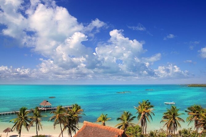 Explore Contoy Island - Who will enjoy this Contoy excursion most