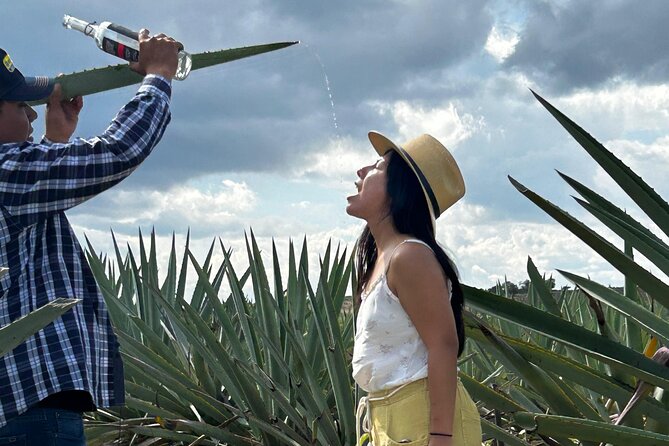 Explore Hierve el Agua, Mitla, Tule, Textile and Mezcal for a day - The buffet lunch: useful, but not a highlight for everyone