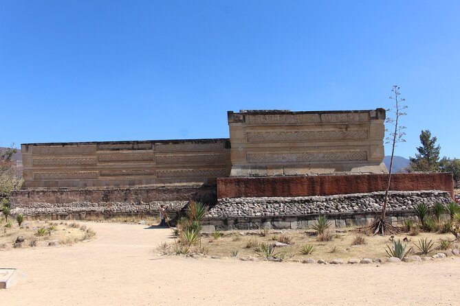 Explore Hierve el Agua, Mitla, Tule, Textile and Mezcal for a day - How mezcal is made at El Rey de Matatlán