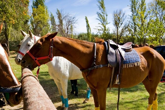 Extreme Horses Adventure with ATV, Ziplines & Cenote - The phone and photo policy