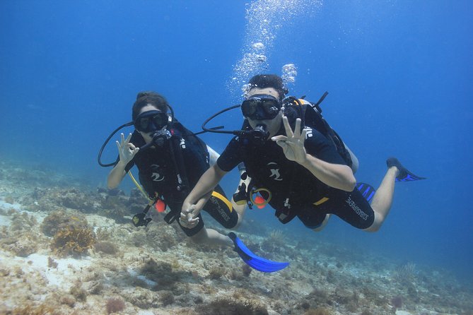 For certified Divers Experience the Under Water Museum and the Manchones Reef - Is $109 a fair price?
