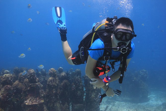 For certified Divers Experience the Under Water Museum and the Manchones Reef - Who will get the most from this outing?
