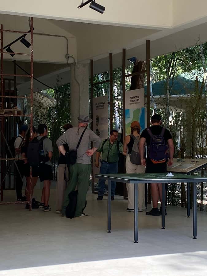 From Bacalar: Calakmul Ruins Expedition & Jungle Trek - A 30-minute forest walk for wildlife