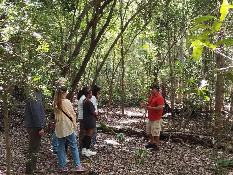 From Bacalar: Calakmul Ruins Expedition & Jungle Trek - What the small group format changes