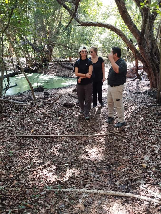 From Bacalar: Calakmul Ruins Expedition & Jungle Trek - The real cost at $163 per person