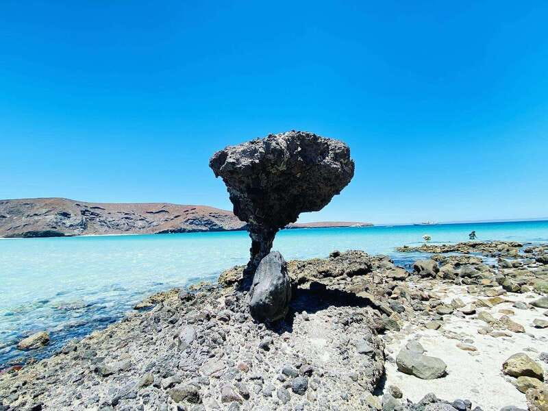 From Cabo/San José del Cabo: La Paz, Balandra & Todos Santos - Key points to know before booking