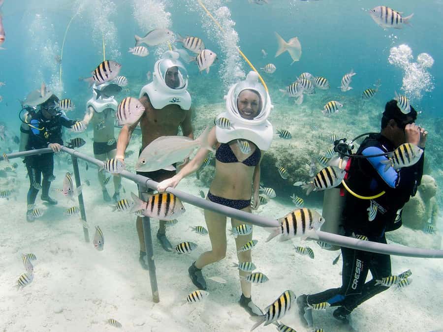 From Cancun: Complete Combo to Xcaret Park! - Mexican culture beyond the resort routine