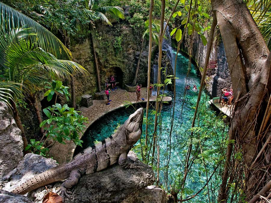 From Cancun: Complete Combo to Xcaret Park! - Getting from Cancun to the park