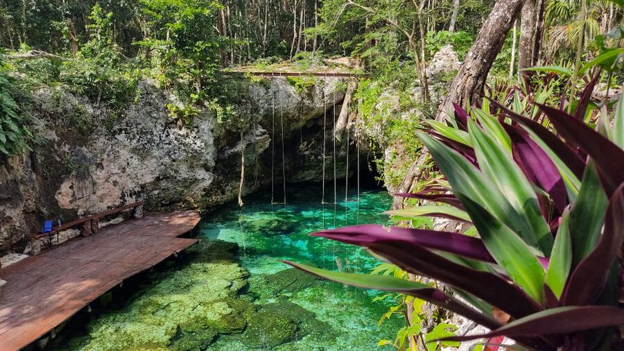 From Cancun: Day Trip to Tulum, Cenote & Playa del Carmen - Canamayte Eco Park and the Mariposa cenote